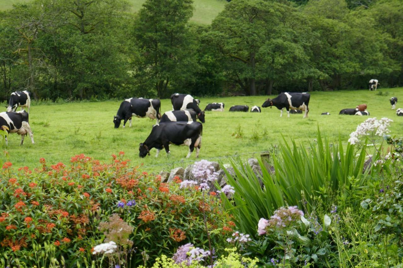 River View Knockraich Farm Fintry المظهر الخارجي الصورة
